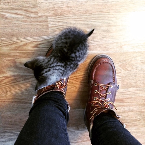 Profile Picture of Sienna Jaehnig (@sjaehnig) on Poshmark