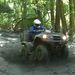 Profile Picture of Steve Vanderwall (@beerdiver57) on Pinterest