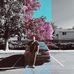 Profile Picture of Danny Dam (Ping Honda) (@danny.dam.9) on Facebook