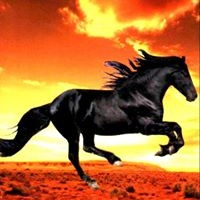 Profile Picture of Jeff Wingfield (@jeff-wingfield-1) on Quora