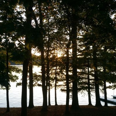 Dirk Peter - Twitter Profile Picture of Dirk Peter (@DirkPeter4) on Twitter