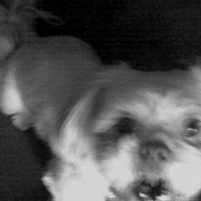 Profile Picture of K. Jackson (@kimjackson66) on Myspace