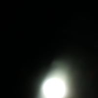 Profile Picture of Randy Honeycutt (@randy-honeycutt) on Quora