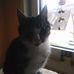 Profile Picture of Jutta Behrens (@jutta.behrens.18) on Facebook