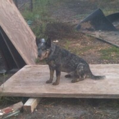 Profile Picture of Florencio Lopez (@lencho_lopez) on Twitter