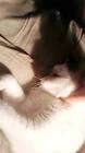 Profile Picture of   Katie (@katief0101) TikTok... (@katief0101) on Tiktok