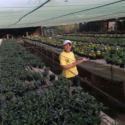 Profile Picture of Khalil Ouaaziz (@khalil_ouaaziz) on Twitter