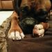 Profile Picture of Andrew Ross (@aross5281) on Pinterest