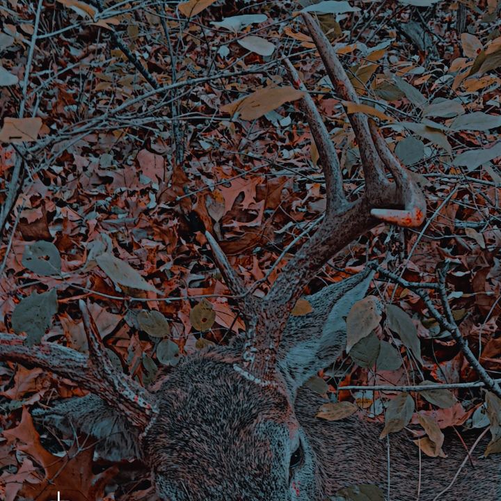 Profile Picture of Andrew Hostetler (@andrew.hostetler2) on Tiktok
