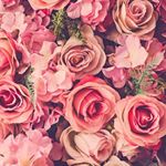 Profile Picture of Allison Gamble (@canvasesbyallison) on Instagram