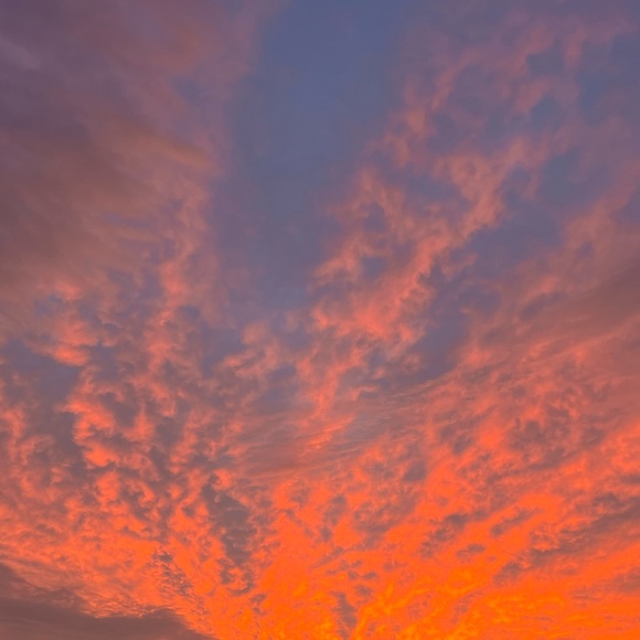 Madi Korbel - Poshmark Profile Picture of Madi Korbel (@madikorbel) on Poshmark