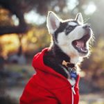 Profile Picture of Duncan McLeod (@mcleod873) on Instagram