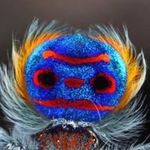 Profile Picture of Robert Laidlaw (@gotsneks) on Instagram