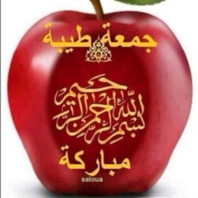 Profile Picture of Brianne Larson (@larsonaxvb) on Twitter