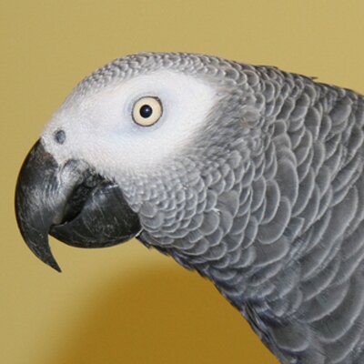 Profile Picture of Charles Huff (@charleshuff1953) on Twitter