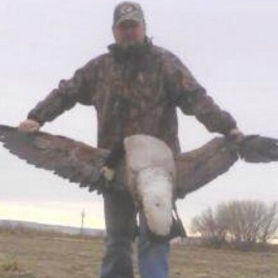 Profile Picture of Jeff Markel (@jdmcalf) on Twitter