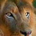 Profile Picture of Jerald Singh (@jerald.singh.9678) on Facebook