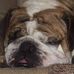 Profile Picture of John Shirey (@john.shirey.77) on Facebook