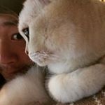 Profile Picture of Ken Chow (@akenchow) on Instagram
