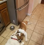 Profile Picture of Scott Bradley (@scott.bradley.521204) on Facebook