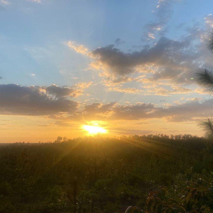 Profile Picture of Christian (@cwhite699) on Tiktok