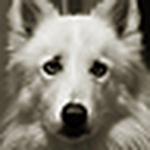 Profile Picture of Phillip John St. Aubin (@Phillip-John) on Flickr