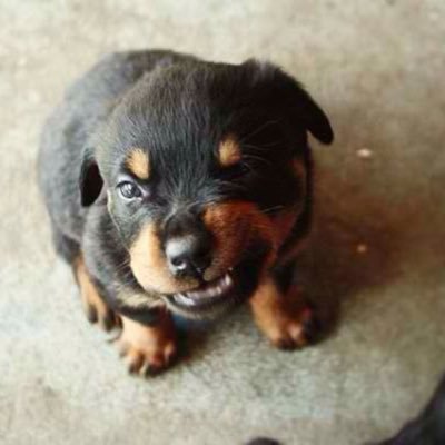 Profile Picture of Thomas McClanahan (@ThomasM31782423) on Twitter