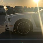 Profile Picture of David Bodenstein (@dave_3o2) on Instagram