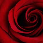 Profile Picture of Daryl Hyland (@Daryl-Hyland) on Facebook