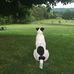 Profile Picture of Bernard Handler (@bernard.handler.5030) on Facebook