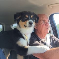 Profile Picture of lorihancock3 (@lorihancock3) on Tiktok