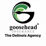 Profile Picture of Delinois Insurance Agency (@delinois_agency) on Instagram