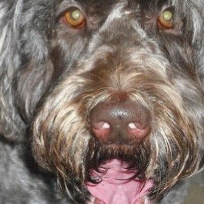 Profile Picture of Jacob Chmielewski (@jacobchim) on Twitter