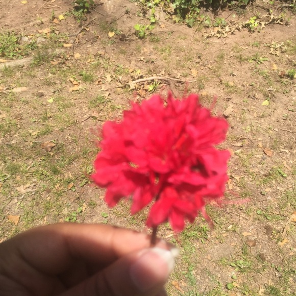 Profile Picture of Tomitra Moore (@lisaroses) on Poshmark