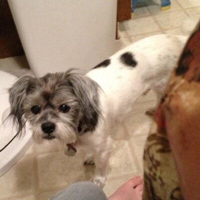 Profile Picture of Joel_Holomek (@YngXbox) on Twitter