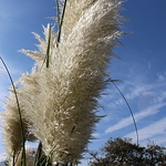 John Johnson - Flickr Profile Picture of John Johnson (@noxx_inc) on Flickr