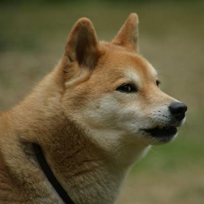 Profile Picture of Steve Caldwell^ (@@Stiggy2002) on Twitter