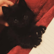 Profile Picture of Kanei (@kanei1998) on Youtube