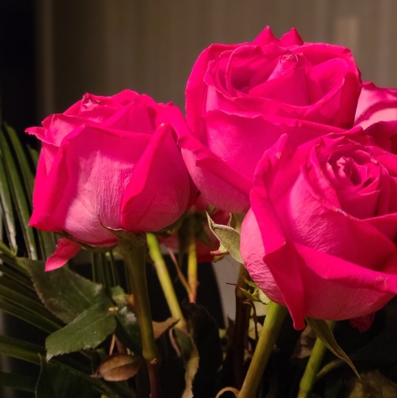 Profile Picture of Emilie Brain (@em_brain) on Poshmark