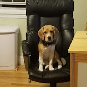 Profile Picture of Paul Chamberlain (@paulchamberlain7792) on Youtube