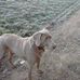 Profile Picture of Jack Bridge (@jack.bridge.319) on Facebook