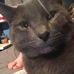 Profile Picture of Christopher Mccormack (@christopher.mccormack.98) on Instagram