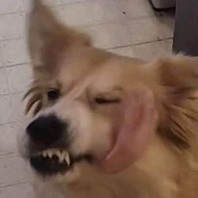 Profile Picture of Alex Frieden (@I_AM_ERROR1) on Twitter