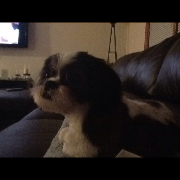 Profile Picture of Nicole Mcleer (@nicole112340) on Poshmark