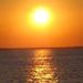 Profile Picture of Nancy Sigman (@nancys0789) on Pinterest