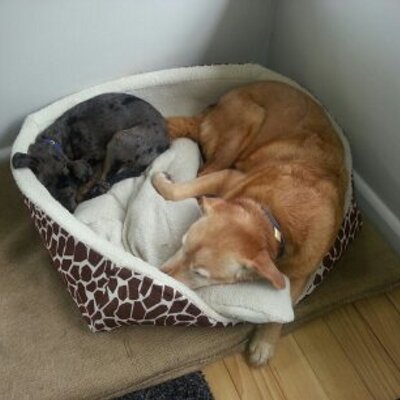 Profile Picture of Ben Cram (@b_cram) on Twitter