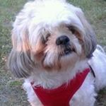 Profile Picture of Debbie Pelto-Bills (@peltobills) on Instagram