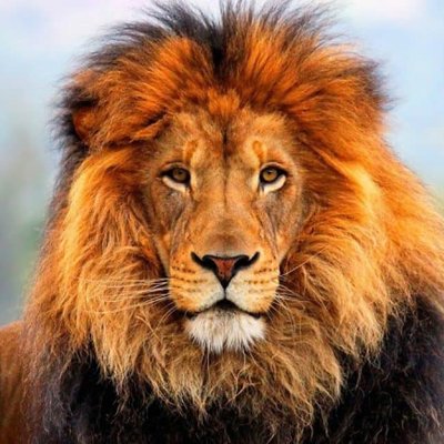 Profile Picture of Claudio León Gatica (@claudioleon75) on Twitter