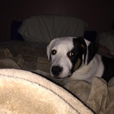 Profile Picture of Caleb Dalton (@whenyoulookmeup) on Twitter
