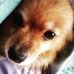 Profile Picture of Dorothy Chase (@dorothy.chase.564) on Facebook
